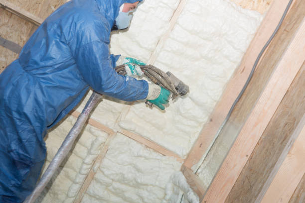 Best Insulation for New Construction  in Wilsons Mills, NC